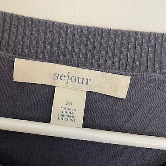 SEJOUR Plus Size Blue ish Gray ish 3D Bobble Pom Pom Polka Dot Pullover Sweater - Picture 3 of 10